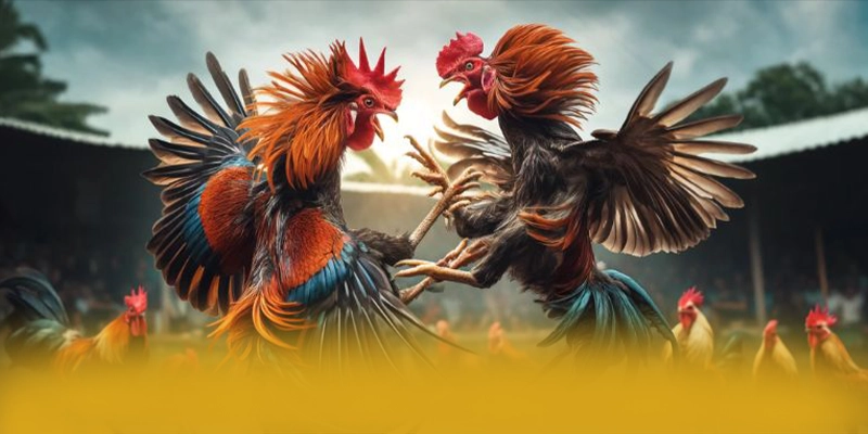 Giải đáp thắc mắc về BET88