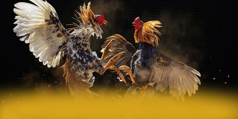 Khuyến mãi giá trị lớn dành cho cộng đồng tại 8XBET