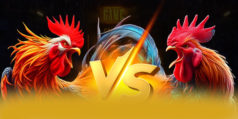 FAQ về SUNWIN